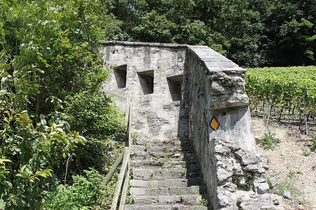 Fortifications Dufour – Ruine, bei Monthey