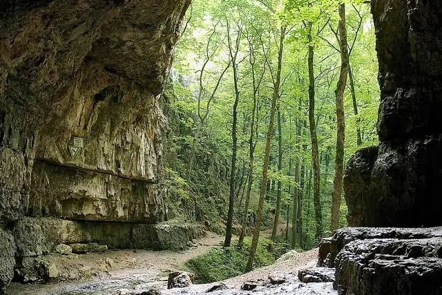 Falkensteiner Höhle – Höhle, 13 km von Metzingen