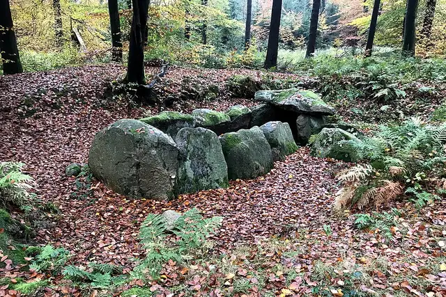 Großsteingrab Nenndorf – Megalith, 22 km from Hamburg