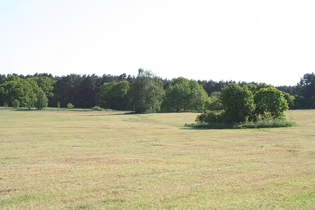 Großsteingrab Burtevitz 4 – Megalith