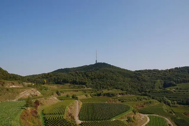 Kaiserstuhlblick - Totenkopf – Aussichtspunkt, 14 km von Emmendingen