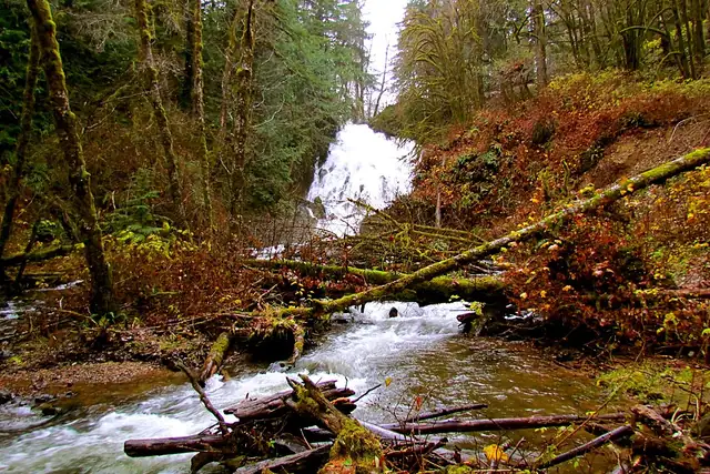 Fishhawk Falls – Wasserfall