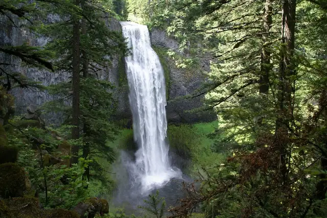 Salt Creek Falls – Wasserfall