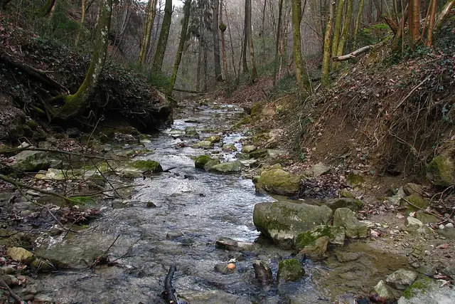 Sagentobelbachfall – Waterfall, near Dübendorf