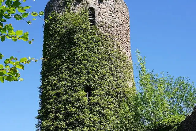 Sausenburg – Burg oder Schloss, 22 km von Basel