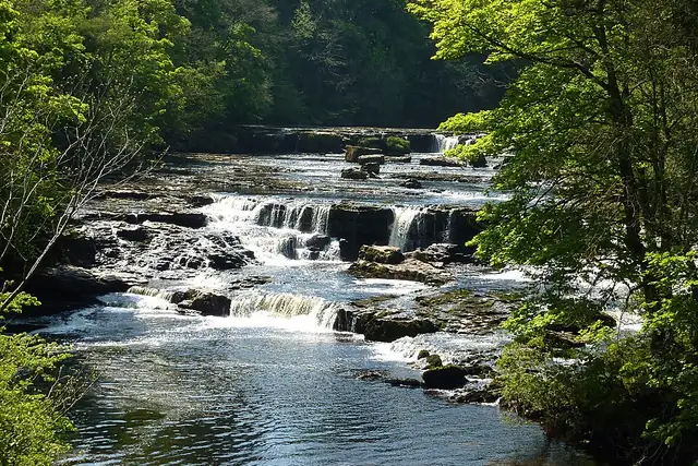 Aysgarth Middle Force – Wasserfall