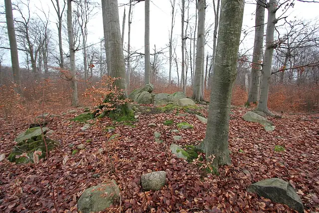 Großsteingrab Forst Suckow – Megalith, 14 km von Angermünde