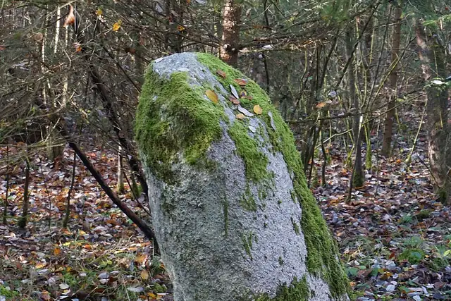 "Der Stein" – Megalith, 24 km von Basel