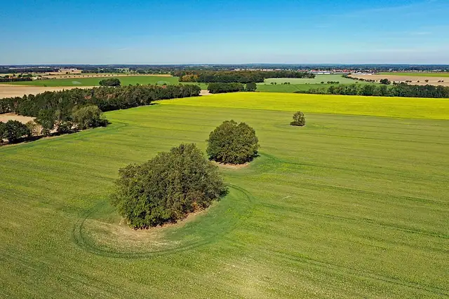 Großsteingrab Leetze 5 – Megalith, 13 km from Hansestadt Salzwedel