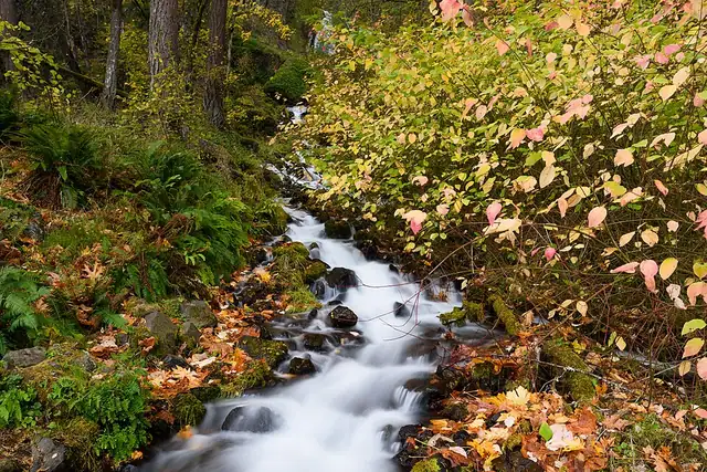 Wahkeena Falls – Wasserfall, 18 km von Washougal