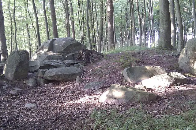Großsteingrab Forst Poggendorf 4 – Megalith, 16 km von Universitäts- und Hansestadt Greifswald