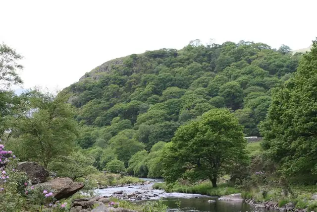 Dinas Emrys – Ruine, 23 km von Bangor