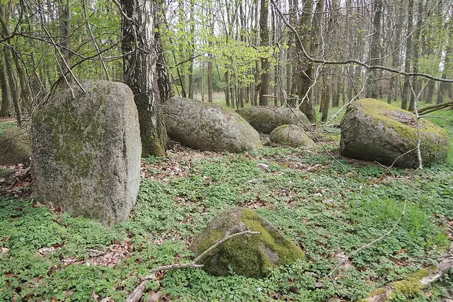 Großsteingrab Alt Stassow 2 – Megalith, 25 km von Ribnitz-Damgarten
