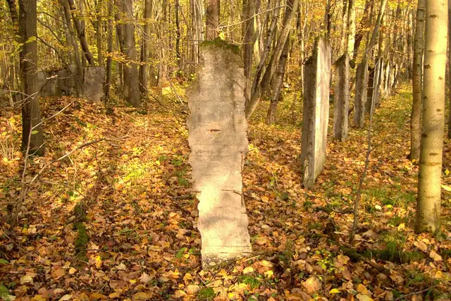 Ruinen eh. Gerätebau – Ruin, near Mühlhausen
