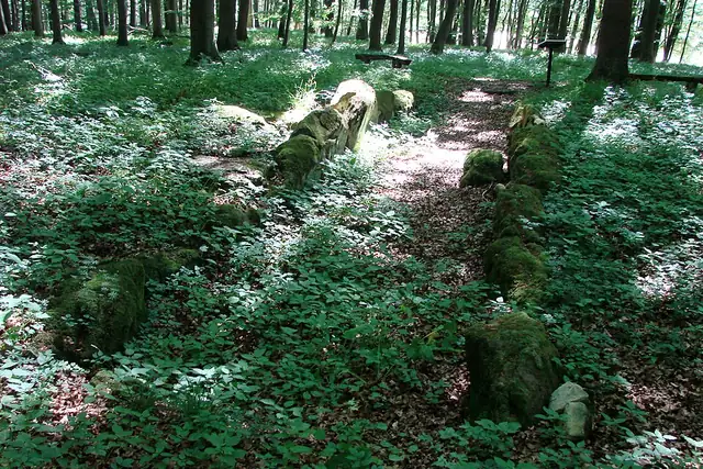 Galeriegrab von Warburg-Rimbeck – Megalith, 8 km von Warburg